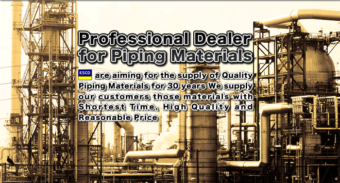 Professional Dealer for Piping Materials
ESCO are aiming for the supply of Quality Piping Materials for 30 years We supply our customers those materials with Shortest Time, High Quality and Reasonable Price